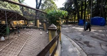 Por que concessionária dos parques Villa-Lobos e Água Branca foi multada em R$ 150 mil?