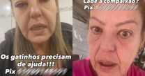 Dona de ONG de proteção animal é presa por suspeita de maus-tratos; gatos foram encontrados em freezer