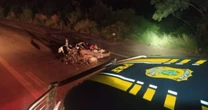 Motociclista de 19 anos morre em grave acidente na BR-285