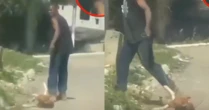 Polícia investiga caso de homem que arrastou cachorro no RJ
