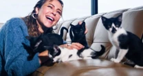 Paolla Oliveira adota 11 gatos e 7 cachorros: 'Quem mais ganhou fui eu'; veja fotos dos pets