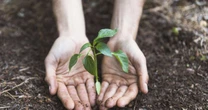 Projeto Viver Territórios promove workshops gratuitos