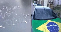 Com geada, Campos do Jordão bate novo recorde de frio em 2026