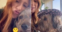 Dani Calabresa dá pista sobre nome do primeiro filho com dica 'fofinha' da Disney