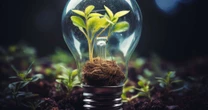 Projeto Conexões em Teias traz inovação ao MIT Energy Summit