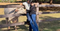 Zé Felipe posta foto agarradinho com Ana Castela e seguidores elogiam: 'Casalzão'