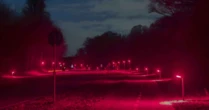 Dinamarca troca cor de iluminação nas ruas para proteger espécies de morcegos