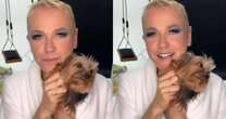 Cyndi Lauper posta vídeo que Xuxa gravou para ela de roupão e com Doralice