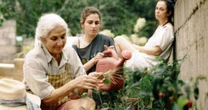 'Malu', filme com Carol Duarte, Yara de Novaes e Juliana Carneiro da Cunha, chega ao streaming