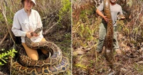 Caçadores capturam mais de 3,6 toneladas de cobras gigantes invasoras para 'sacrifício humanizado'