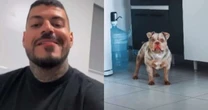 Influenciador que teve dedo comido por cachorro enquanto dormia faz revelações; veja