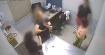 Tutora processa clínica veterinária após receber injeção que deveria ser aplicada em cachorra