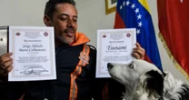 'Tsunami': Conheça cão resgatado das ruas e que ajudou no resgate de vítimas do terremoto na Venezuela
