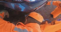Motorista ignora 'barulho' e descobre depois que atropelou raposa ao encontrar animal preso ao para-choque