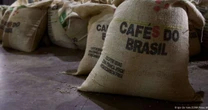 Denúncia liga trabalho escravo ao café de Nestlé e Starbucks