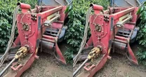 Fazendeiro morre após ser puxado para dentro de colheitadeira em plantação de café