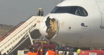 Avião precisa retornar ao aeroporto após ter o bico destruído por colisão com pássaro