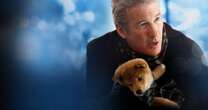 Nem Uma Linda Mulher, nem Chicago: Este é o melhor filme de Richard Gere segundo os leitores do AdoroCinema