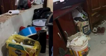 Trio preso por venda clandestina de sangue de gato no interior de SP oferecia R$ 50 a tutores por coleta