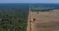 Avanço da soja sobre floresta causa prejuízo bilionário, dizem especialistas