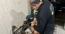 GAECO desarticula grupo que furtava cabos de cobre no Sul do RS