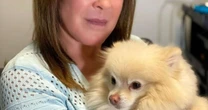 Zilu Camargo revela morte na família: 'A dor é imensa'