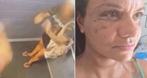 Vaquinha criada para ajudar Juliana Soares, agredida com mais de 60 socos, bate R$ 100 mil