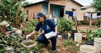 Dourados zera novos casos confirmados de chikungunya, mas mantém alerta de epidemia