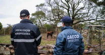 Operação mira esquema de lavagem de dinheiro do tráfico e bloqueia mais de R$ 100 milhões no RS