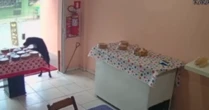 Cachorro aproveita distração de funcionárias e 'furta' bolo de loja na Bahia; veja vídeo