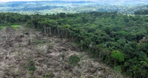 ONU: Brasil reduz desmatamento, mas ainda é responsável por 70% da perda de florestas do planeta