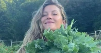 Com óleo de abacate, beterraba e queijo de cabra, essa salada queridinha de Gisele Bündchen deixa seu coração saudável e seu intestino regulado