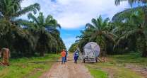 Grupo BBF desenvolve projeto de adubação sustentável no Pará