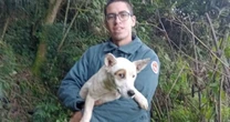 Cachorro sobrevive quatro dias em penhasco e é resgatado por bombeiros em SC