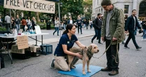 Prefeitura de Parauapebas oferece atendimento veterinário gratuito para pets