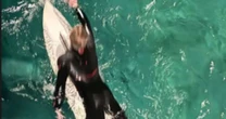 Após polêmica, Luciano Huck posta registros de surfe com os filhos