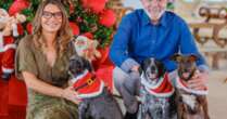 Lula compartilha foto ao lado de Janja e dos pets no Natal: 'Que o amor brilhe mais forte'