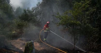 Portugal decreta alerta geral contra incêndios em meio à onda de calor extremo