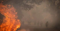 Onda de incêndios florestais na Espanha gera emergência nacional