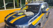 Motorista com 50 kg de maconha é preso após perseguição na BR-392 em Santa MariaMotorista com 50 kg de maconha é preso após perseguição na BR-392 em Santa Maria