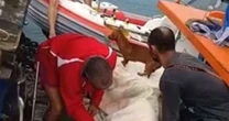 Marinha abre inquérito para investigar acidente de moto aquática em Ilhabela