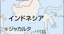 身長約1m、最小の人類を確認　インドネシアの孤島、東京大など化石を分析