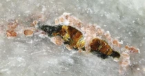 新鉱物「アマテラス石」発見　日本の国石・ヒスイの中から見つかる　東大などの研究チームが発表