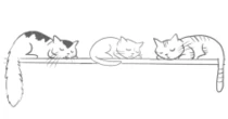 「左巻き vs. 右巻き」──猫の寝方はどちらが多い？　400本以上のYouTube動画を分析