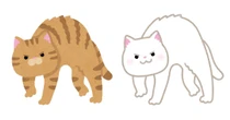 猫はどれくらい液体か？　30匹に狭い隙間を通過させる実験　ハンガリーの研究者が24年に検証