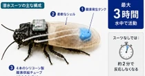 数時間潜水できる"サイボーグゴキブリ"実現　人命救助で活躍期待　早大などが専用の潜水スーツ共同開発