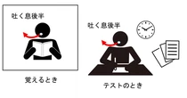 暗記のコツは「息を吐いている後半」に覚えること？　思い出す時も同じ呼吸タイミング　兵庫医科大などが研究発表
