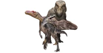 新種のティラノサウルス「カンクウルウ」、北大などの研究チームが発見　起源と進化に新たな仮説