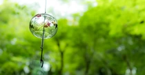 人気は洋菓子・和菓子　帰省の手土産、かける金額はどれくらい？