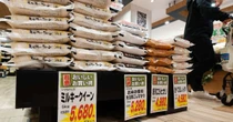 米価高騰が止まらない　本当に足りないのは「コメ」ではなく“仕組み”か